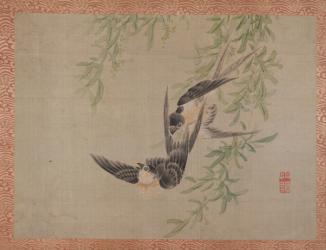 Swallows in flight, 1851 (watercolour on silk) | Obraz na stenu