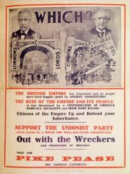 Unionist Party Poster for the British General Election of January 1910 (colour litho) | Obraz na stenu