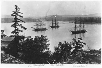 HMS Charybdis, HMS Satellite and HMS Cameleon at Esquimalt Royal Navy Dockyard, British Columbia, c.1880s (b/w photo) | Obraz na stenu