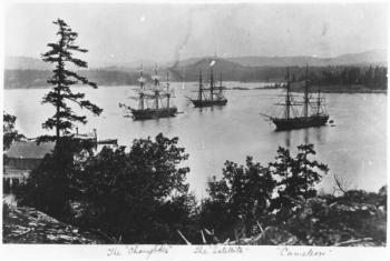 HMS Charybdis, HMS Satellite and HMS Cameleon at Esquimalt Royal Navy Dockyard, British Columbia, c.1880s (b/w photo) | Obraz na stenu