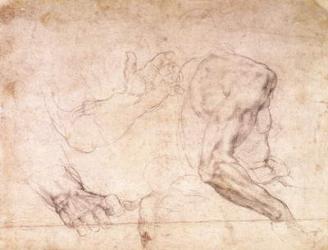 Studies of hands and an arm (black chalk on paper) (verso) | Obraz na stenu