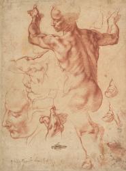 Studies for the Libyan Sibyl (recto), c.1510-11 (red chalk on paper) | Obraz na stenu