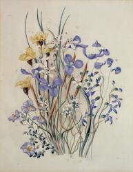 Spring Flowers, 19th century | Obraz na stenu