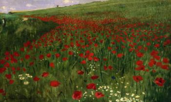 The Poppy Field, 1896 (oil on canvas) | Obraz na stenu
