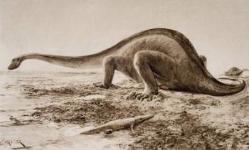 Brachiosaurus (litho) | Obraz na stenu