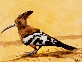 Hoopoe, 2016, (oil on canvas) | Obraz na stenu