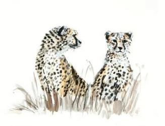 cheetah brothers, 2013, (watercolour) | Obraz na stenu