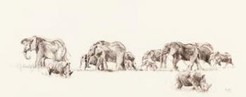 Elephant and Rhino, 2014, (pencil on paper) | Obraz na stenu