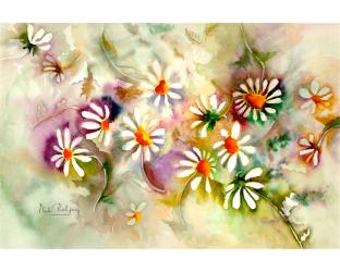 Dance of the Daisies | Obraz na stenu