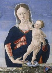 Madonna and Child, c.1467-8 (tempera on poplar panel) | Obraz na stenu