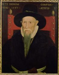 Portrait of Theodore de Beze (1519-1605) (oil on canvas) | Obraz na stenu