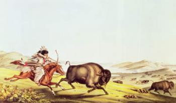 Hunting the Buffalo (colour litho) | Obraz na stenu