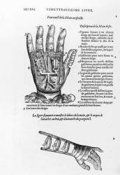 Description of a mechanical iron hand (engraving) (b/w photo) | Obraz na stenu