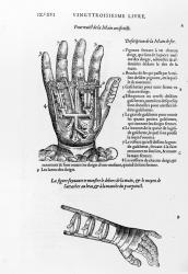 Description of a mechanical iron hand (engraving) (b/w photo) | Obraz na stenu