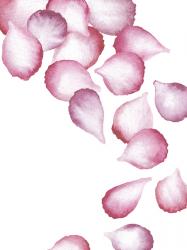 Rose Petals, 2016 (watercolour, digital media) | Obraz na stenu