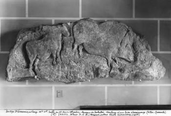Cast of a frieze of animals from Le Roc de Sers, Charente, Solutrean Period, 20000-15000 BC (plaster) (b/w photo) | Obraz na stenu