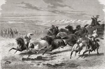 Argentinian gauchos rounding up wild horses, illustration from 'The World in the Hands', engraved by Charles Laplante (d.1903), published 1878 (engraving) | Obraz na stenu
