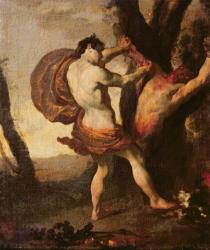 Apollo flaying Marsyas, c.1627 (oil on canvas) | Obraz na stenu