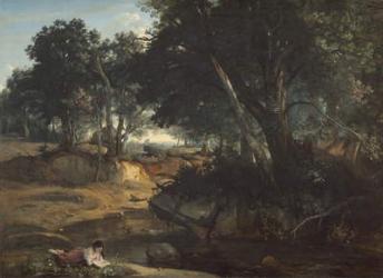 Forest of Fontainebleau, 1834 (oil on canvas) | Obraz na stenu