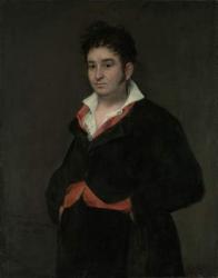 Portrait of Don Ramon Satue, 1823 (oil on canvas) | Obraz na stenu