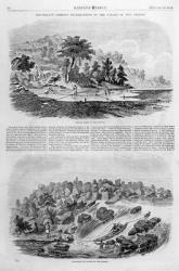 Lieutenant Gibbon's Explorations of the Valley of the Amazon, from 'Harper's Weekly', 23rd January 1838 (engraving) (b/w photo) | Obraz na stenu