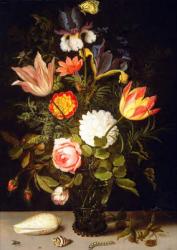 Still Life of Flowers in a Roemer with Two Shells (oil on panel) | Obraz na stenu