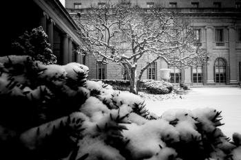 Frick Collection Winter Nº3 | Obraz na stenu