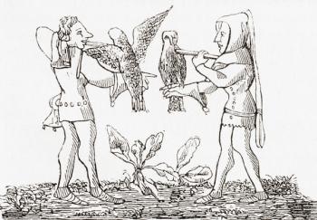 Falconry in the middle ages (engraving) | Obraz na stenu