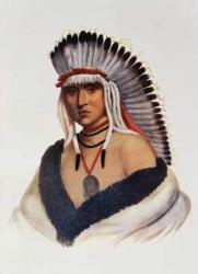 Petalesharro, a Pawnee Brave, illustration from 'The Indian Tribes of North America, Vol.1', by Thomas L. McKenney and James Hall, pub. by John Grant (colour litho) | Obraz na stenu