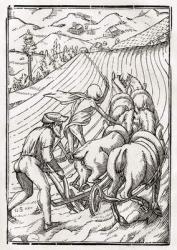 Death comes for the Farmer or Husbandman, engraved by Georg Scharffenberg, from 'Der Todten Tanz', published Basel, 1843 (litho) | Obraz na stenu