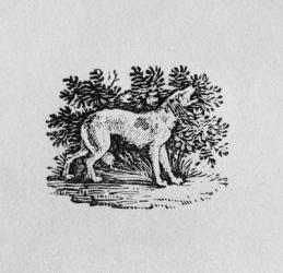 A Hound from 'History of Quadrupeds', 19th century (engraving) | Obraz na stenu
