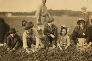 Annette Roy said to be 7 and Napoleon Ruel said to be 9 picking cranberries at Smart's Bog, South Carver, Massachusetts, 1911 (b/w photo) | Obraz na stenu