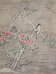 Birds and camelia in snow, c.1700 (ink and colours on paper) | Obraz na stenu