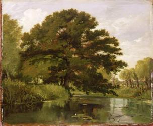 On the Isis, Waterperry, Oxfordshire, 1806 (oil on panel) | Obraz na stenu
