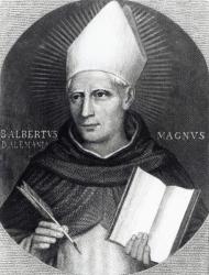 St Albertus Magnus, 1851 (engraving) | Obraz na stenu