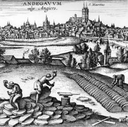 Andegavum vulgo Angiers , 1598 (engraving) | Obraz na stenu