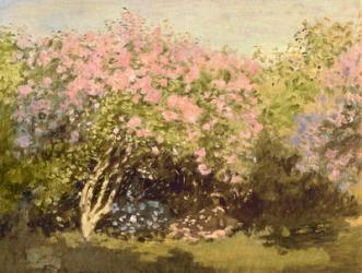 Lilac in the Sun, 1873 (oil on canvas) | Obraz na stenu