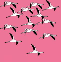 Flying Flamingos, 2017, (ink on paper) | Obraz na stenu