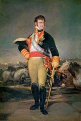 King Ferdinand VII (1784-1833) c.1814 (oil on canvas) | Obraz na stenu