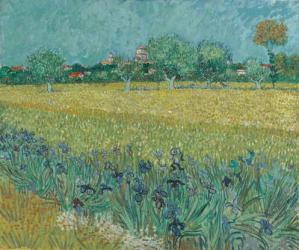 Field with Flowers near Arles, 1888 (oil on canvas) | Obraz na stenu