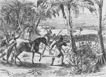 I saw with infinite pleasure the great object of my mission, - the long sought for majestic Niger, glittering to the morning sun, 1860 (engraving) | Obraz na stenu