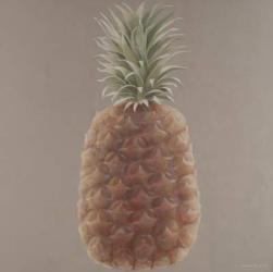 Pineapple, 2012 (acrylic on canvas) | Obraz na stenu