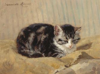 The Tabby (oil on board) | Obraz na stenu