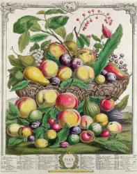 July, from 'Twelve Months of Fruits', by Robert Furber (c.1674-1756) engraved by Henry Fletcher, 1732 (colour engraving) | Obraz na stenu
