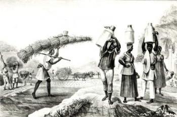 Milk and Capim Vendors, from 'Voyage Pittoresque et Historique au Bresil', (litho) (b/w photo) | Obraz na stenu