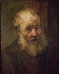 Head of an Old Man, c.1650 (oil on canvas) | Obraz na stenu
