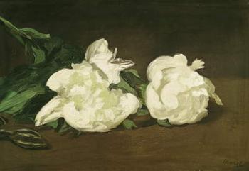 Branch of White Peonies and Secateurs, 1864 (oil on canvas) | Obraz na stenu