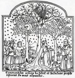 Copy of illustration of the Oracular trees of the Sun and the Moon from 'Livre de Merveilles du Monde' by Rustichello da Pisa and Marco Polo (woodcut) | Obraz na stenu