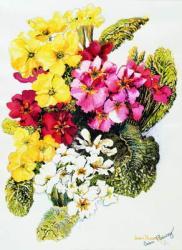 Primroses,White,Yellow,Pink and Red, 2000,(watercolour) | Obraz na stenu