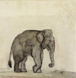 Elephant, c.1790 (pen & ink, wash & w/c on paper) | Obraz na stenu